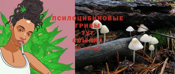 дурь Верхнеуральск