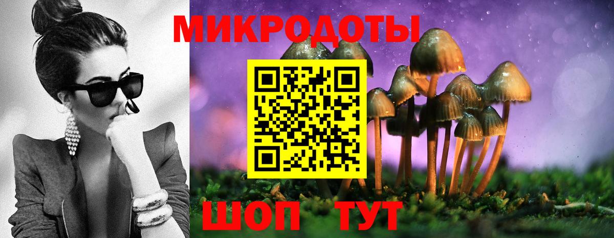 Псилоцибиновые грибы ЛСД Славянск-на-Кубани
